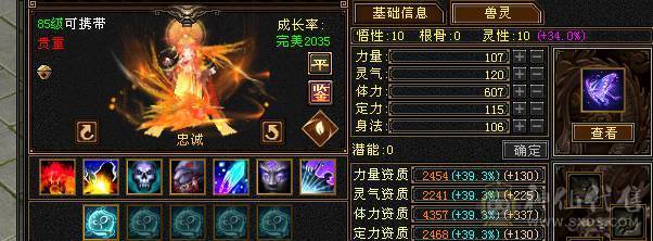 【邀月推荐】极限6神，三修，外观顶，赤兔4级金箍棒，完美大词条增伤+全套05，双盟会10级