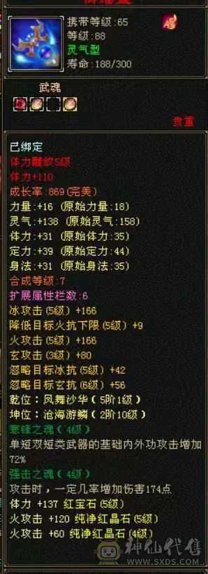 88暴力武当