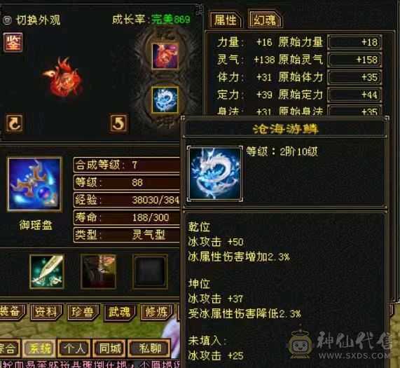 88暴力武当