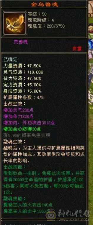 88暴力武当