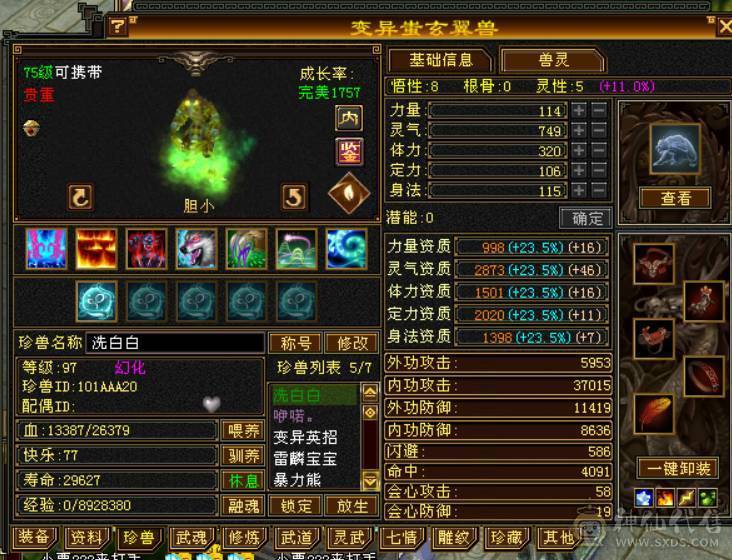 永久坐骑熊双10稀有宝宝