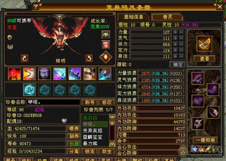 永久坐骑熊双10稀有宝宝