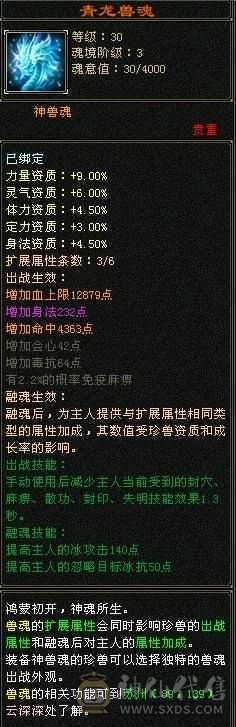 所见即所得