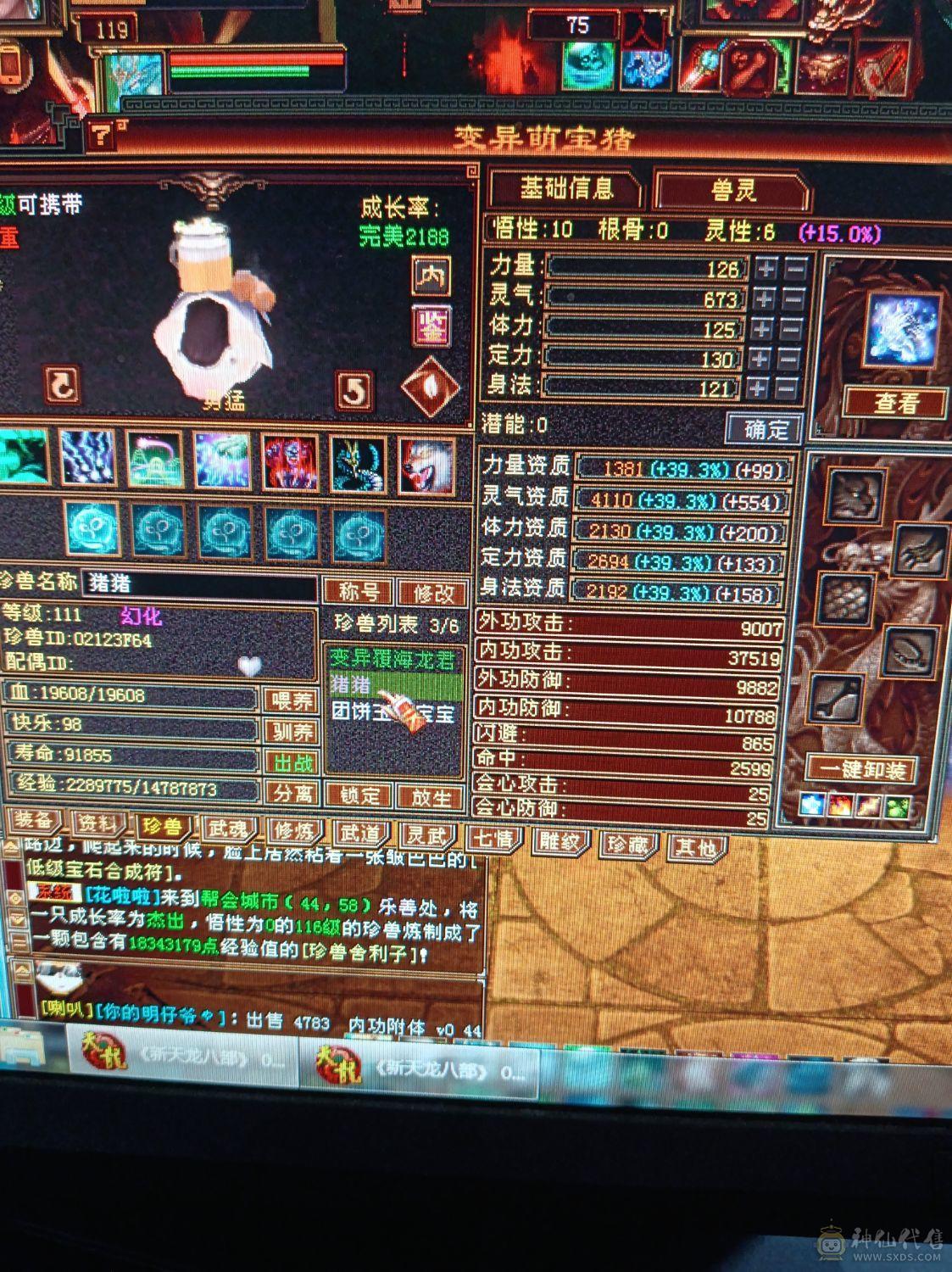 全5石头硬可挖6级种子5减星速减抗580左右，潜力巨大还可以提升，没时间玩甩卖