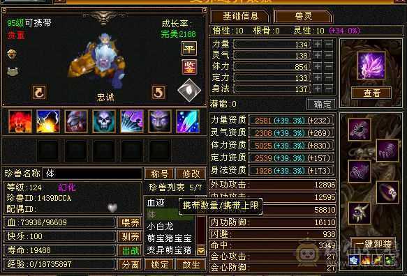 上暗器41.6W血，全 5体带棵6体宝石， 