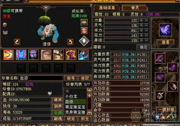 上暗器41.6W血，全 5体带棵6体宝石， 