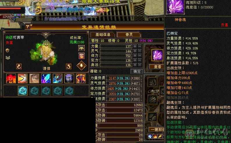 漂亮女峨眉能打能扛，三满号，高血高蓝