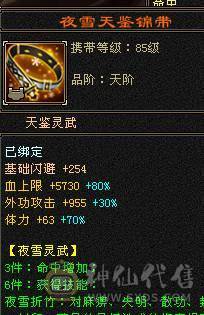 『阿伟•推荐』极限增伤 满6高减全套毕业 带骨翼10雕+9雕 6橙神兽完美词条 所见即所得