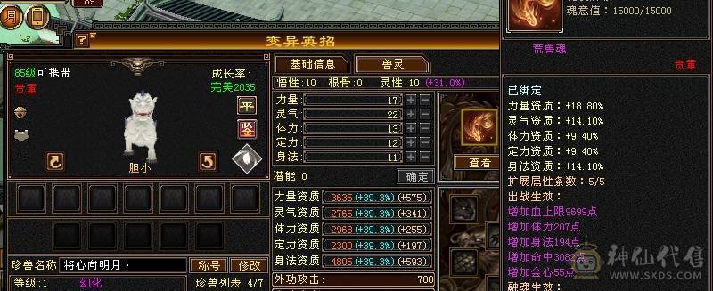 帅气武当，能打能花瓶，永久赤兔加断桥加夜雨加仲夏夜之梦
