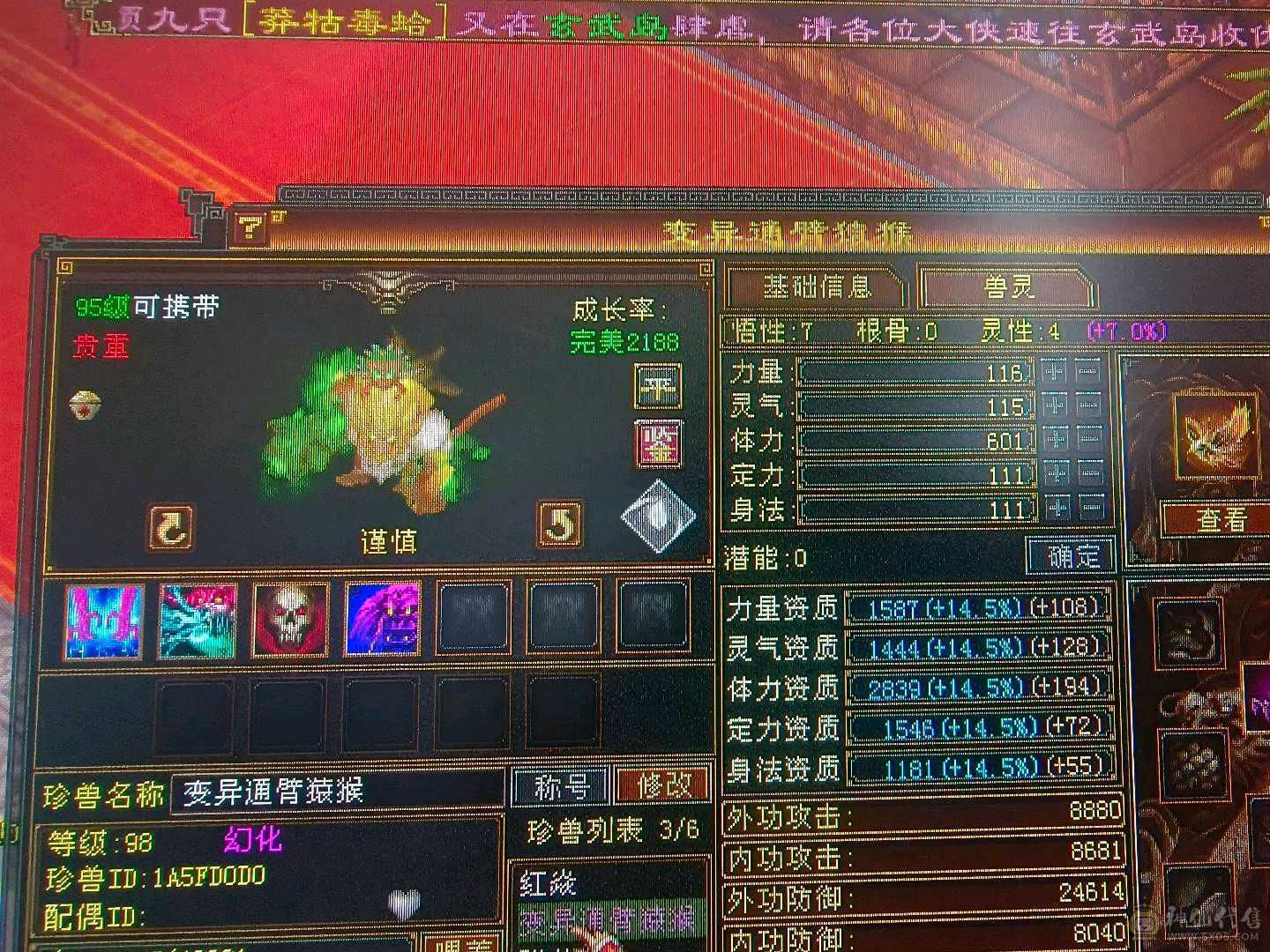 三属暴力逍遥