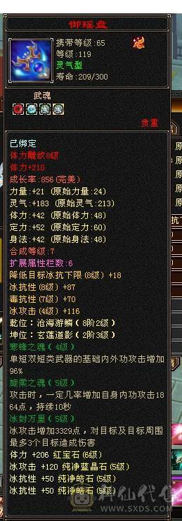 芬达🥇推荐🥇：顶级花瓶5件断桥残雪 带花榜85坐骑  时装100件