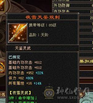 芬达🥇推荐🥇：顶级花瓶5件断桥残雪 带花榜85坐骑  时装100件