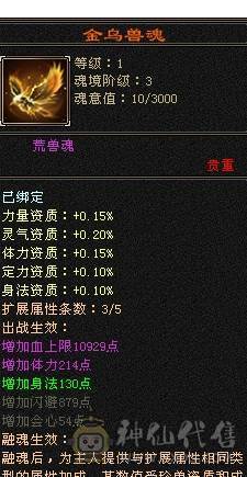 芬达🥇推荐🥇：顶级花瓶5件断桥残雪 带花榜85坐骑  时装100件