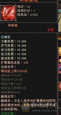 芬达🥇推荐🥇：顶级花瓶5件断桥残雪 带花榜85坐骑  时装100件