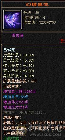 四修极品装备八九混雕，6神女神逍遥