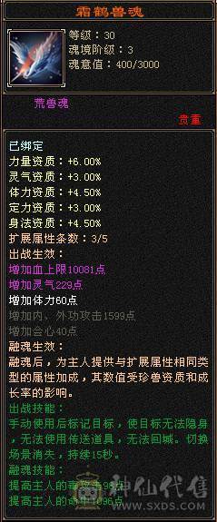 四修极品装备八九混雕，6神女神逍遥