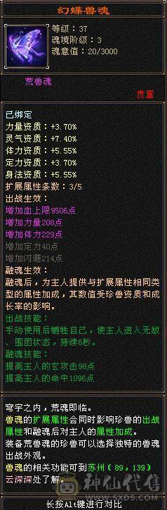 全区最便宜的满5少林，满状态63万血，全身极品装备，石头硬，带绝版衣服和永久坐骑幻视，退游处理，一口价，别打电话了