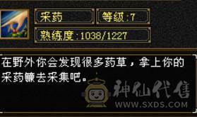 冰内卡级武当