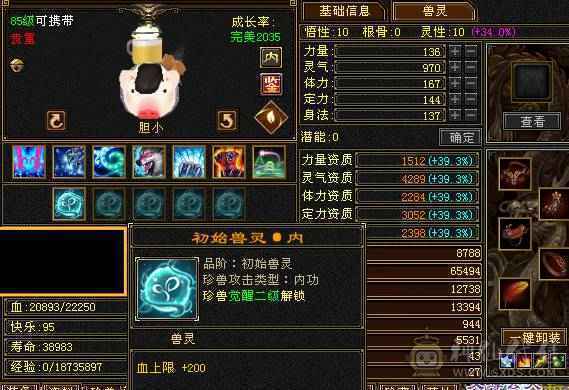 满五星宿，四杂抗，满强化，雪猿坐骑，断桥，夜雨听竹