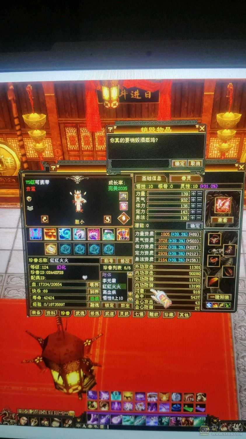 五级号带两只双十宝宝价值800rmb，极品装备