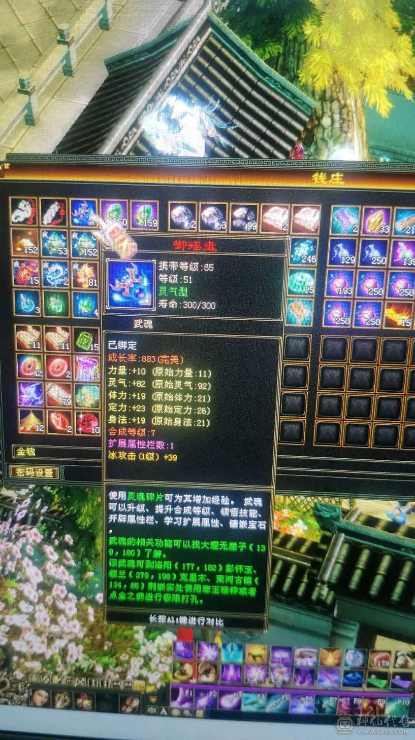 五级号带两只双十宝宝价值800rmb，极品装备