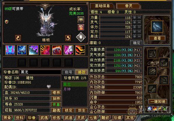 兔子、扫荡号