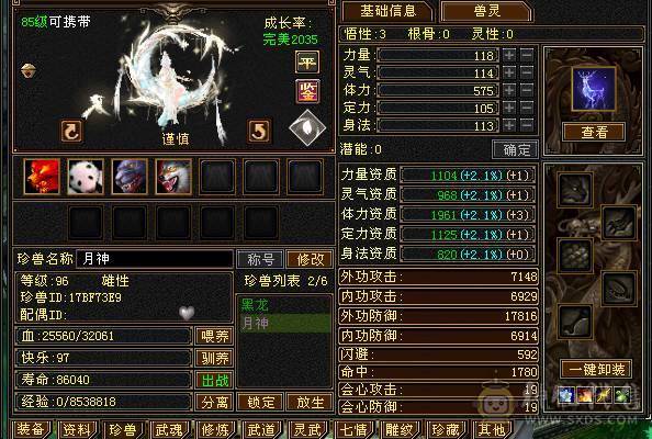 兔子、扫荡号