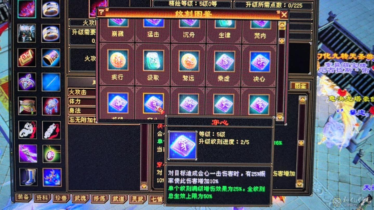 还不错的5级号，三修加440增伤