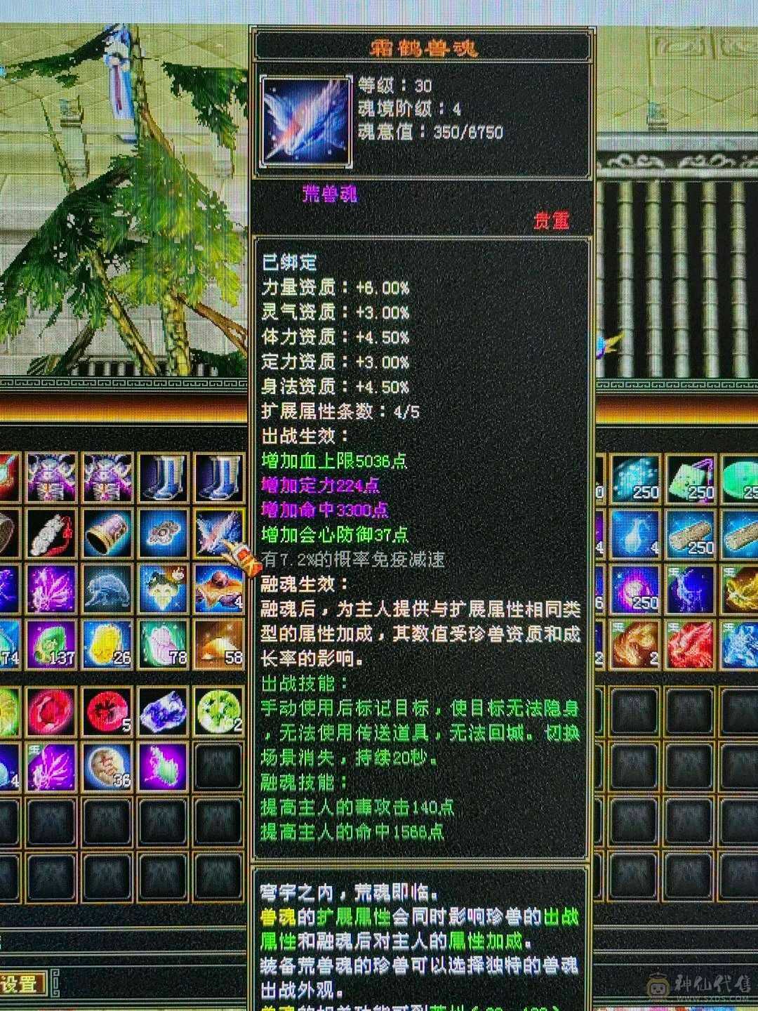 天龙之子，火气武当