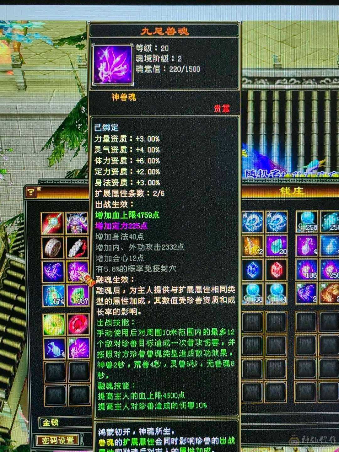 天龙之子，火气武当