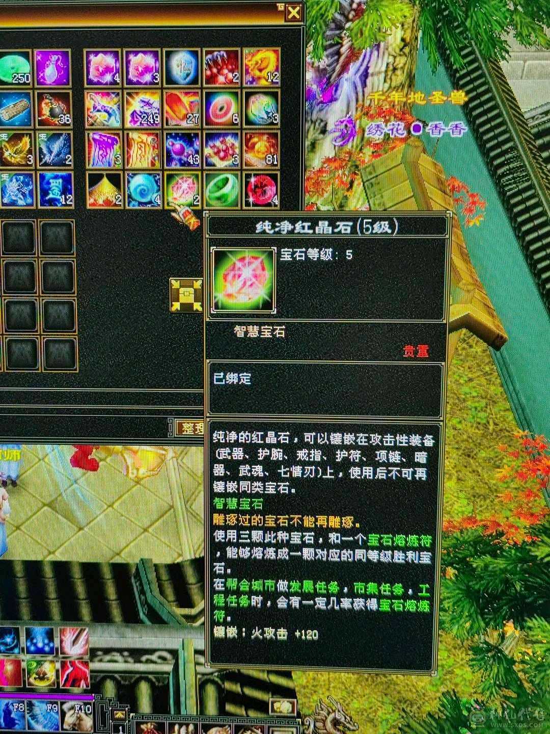 天龙之子，火气武当