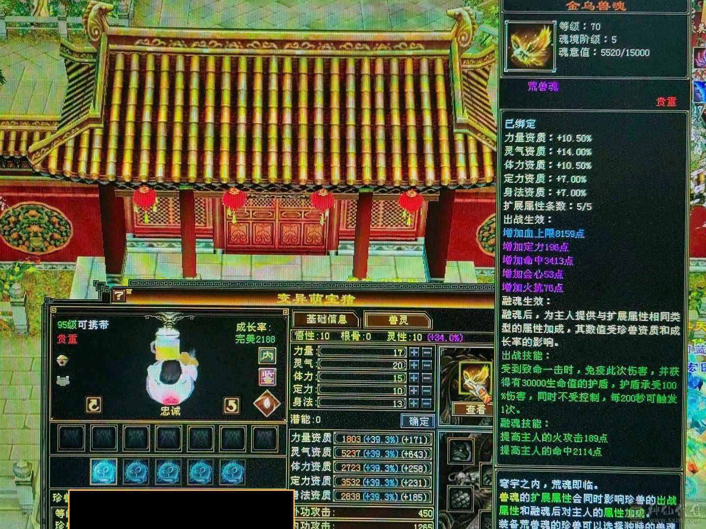 天龙之子，火气武当