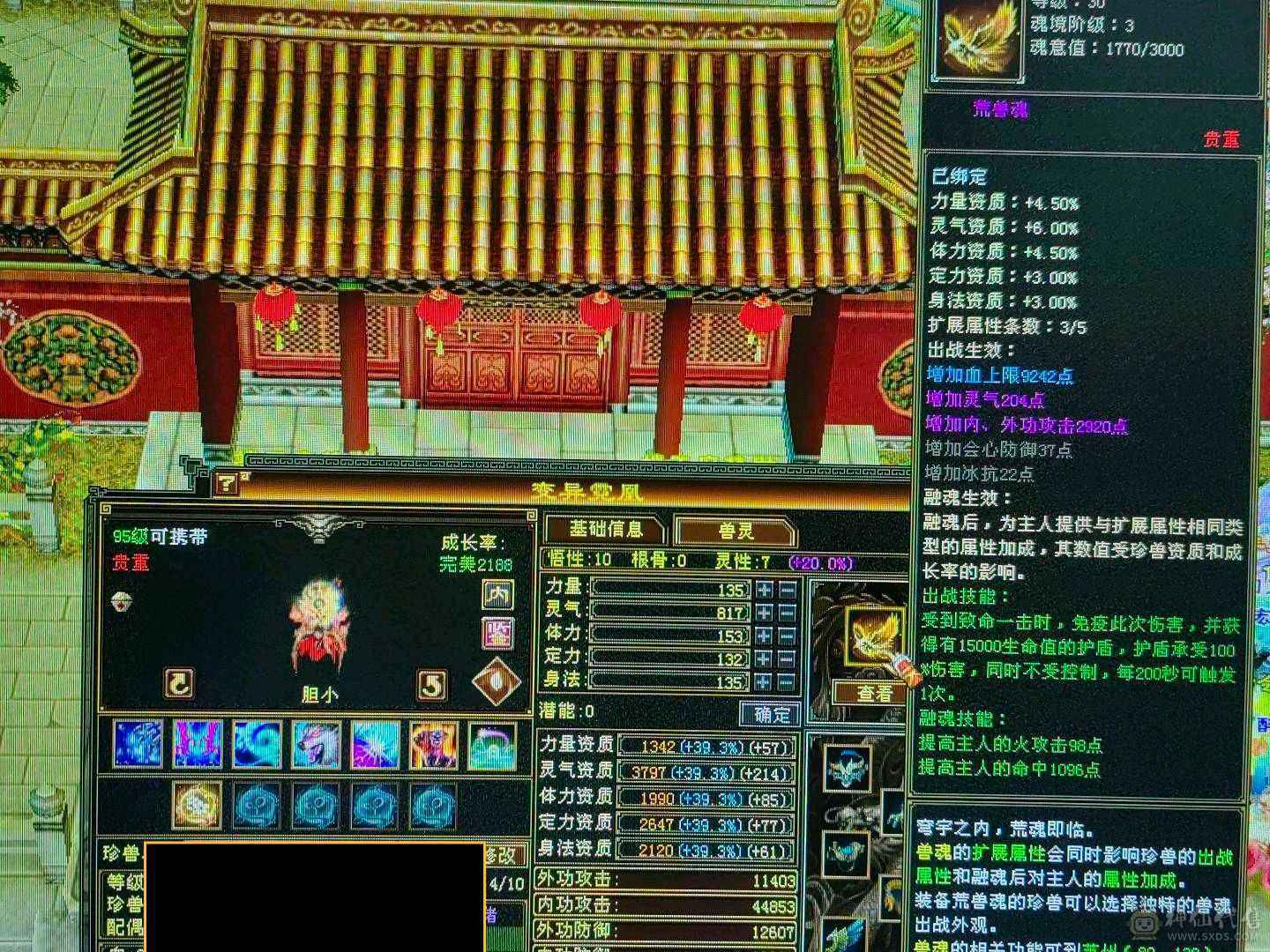 天龙之子，火气武当