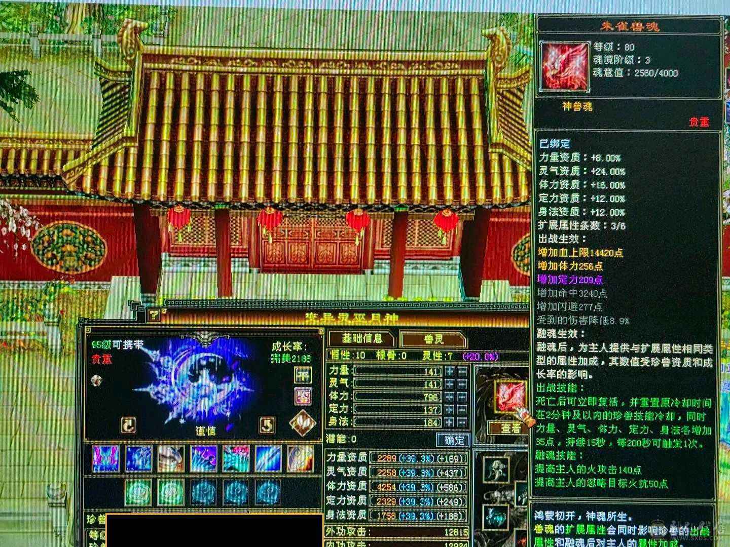 天龙之子，火气武当