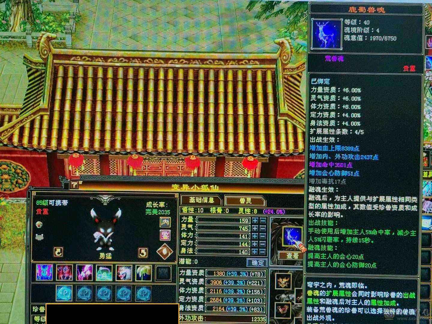 天龙之子，火气武当
