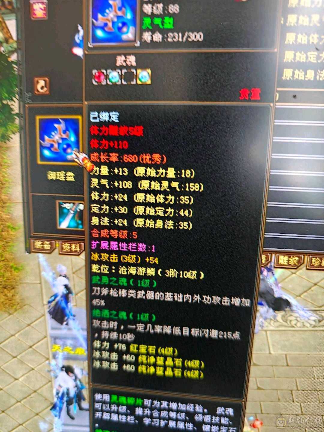 4级 副本武当
