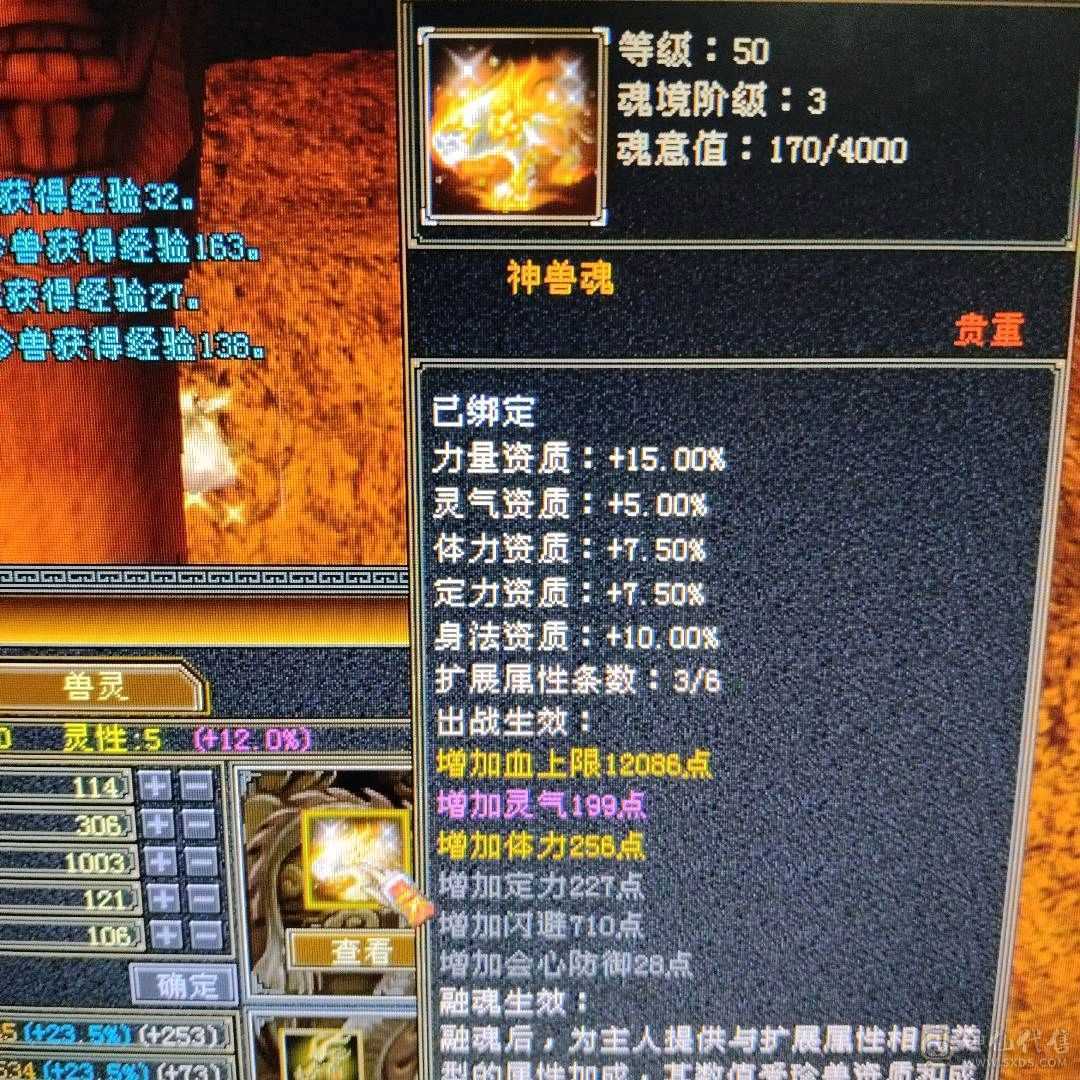 漂亮小峨眉，低价出