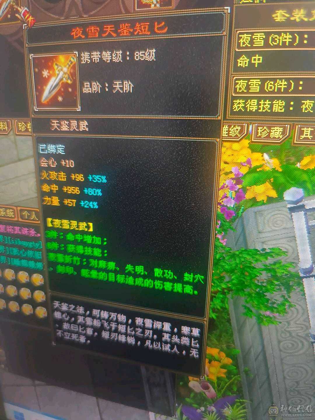 三属暴力逍遥