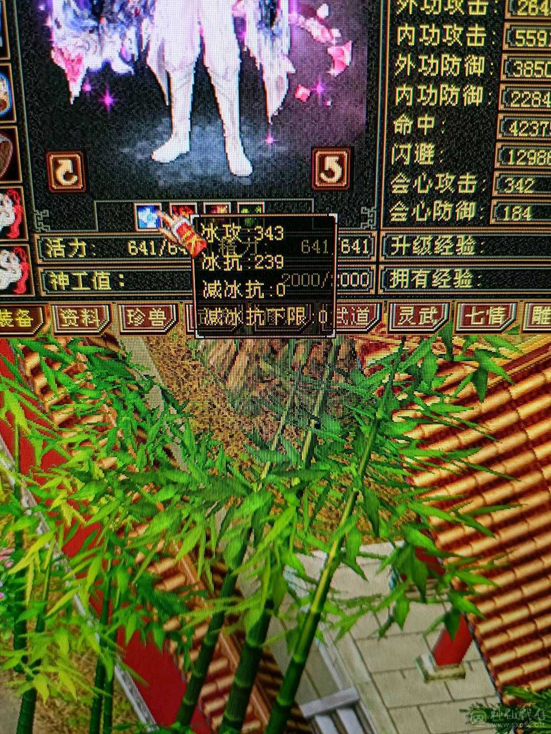 新雕文已更新高血量高爆发内功完美4抗增伤星宿 持续更新中