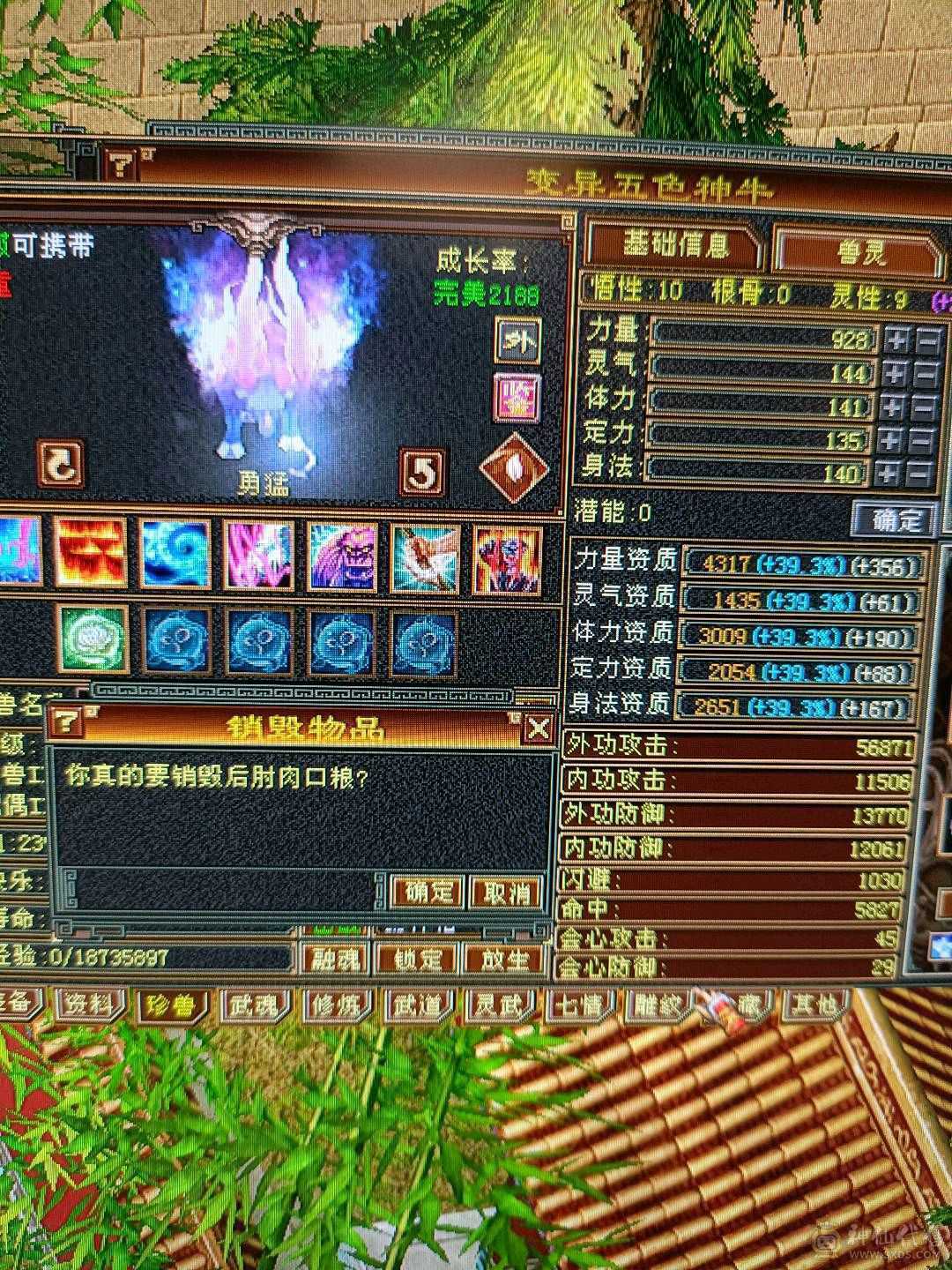 新雕文已更新高血量高爆发内功完美4抗增伤星宿 持续更新中