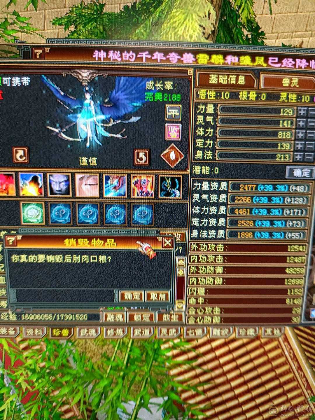 新雕文已更新高血量高爆发内功完美4抗增伤星宿 持续更新中