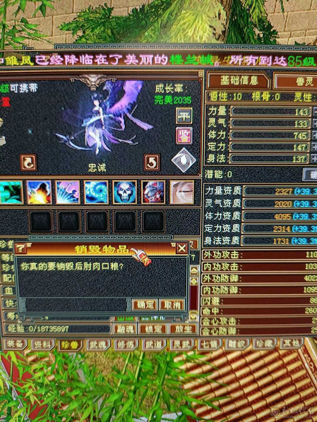 新雕文已更新高血量高爆发内功完美4抗增伤星宿 持续更新中