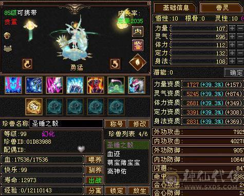 版本真神，罗汉少林