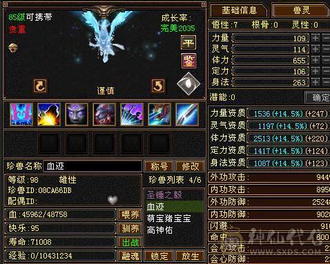 版本真神，罗汉少林