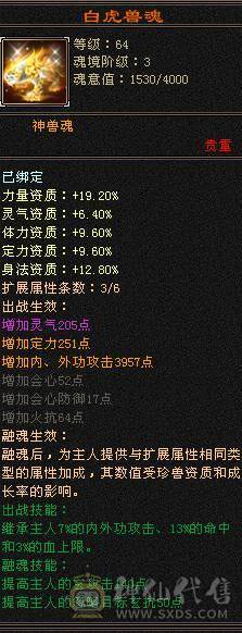 版本真神，罗汉少林