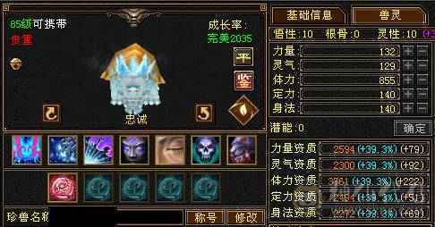 双盟会双坐骑 6神玄武，4阶白虎5600+值的满6减增伤拉满的无敌丹号