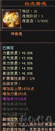 帅气逼人秒价不刀气5带6五介神绝版时装多多 绝版断桥各种时装3背饰 面板只吃了个五级精华 面板是带4400+体力附体