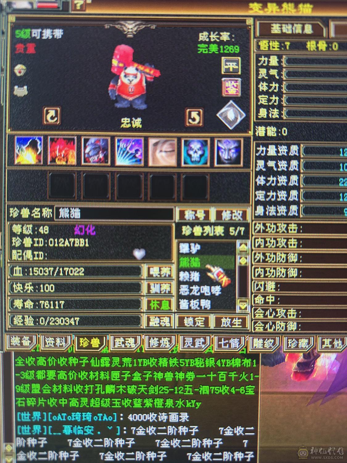 赤兔新增背饰和头饰