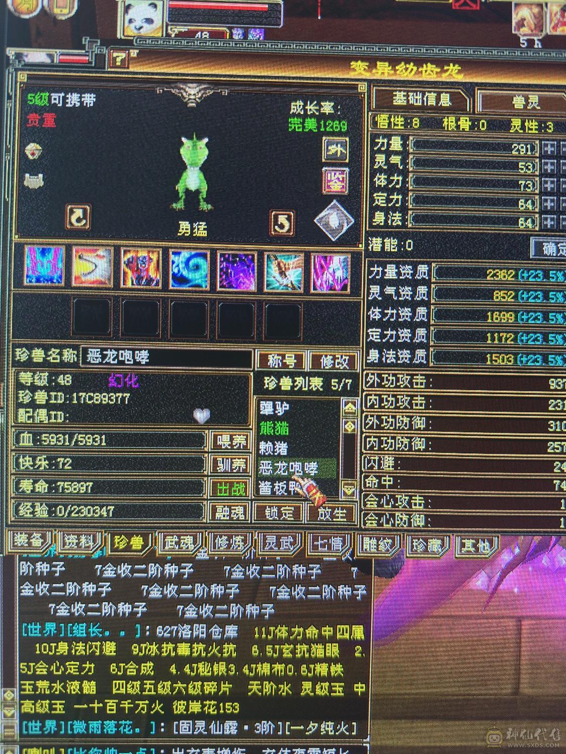 赤兔新增背饰和头饰