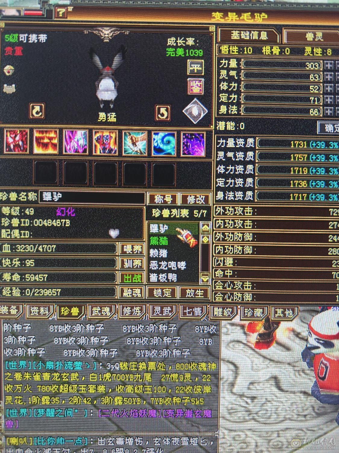 赤兔新增背饰和头饰